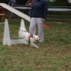 foire-haricots 2011-09-17et18